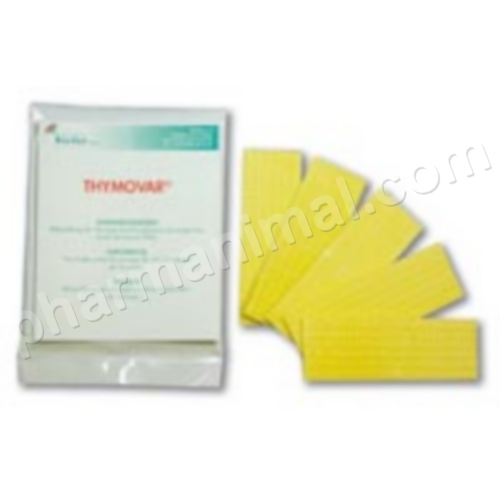 THYMOVAR PLAQUETTES            	plaq/10   	sol ext